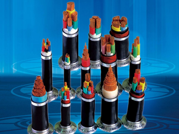 电线也有恐风症 江西给超高压电线“吃定风丹”